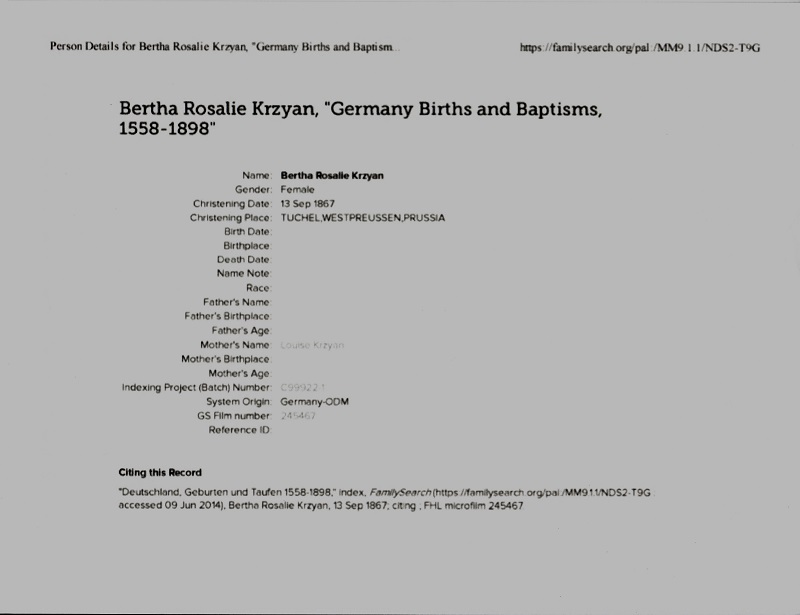 Emilie Pubanz's Birth Record 1