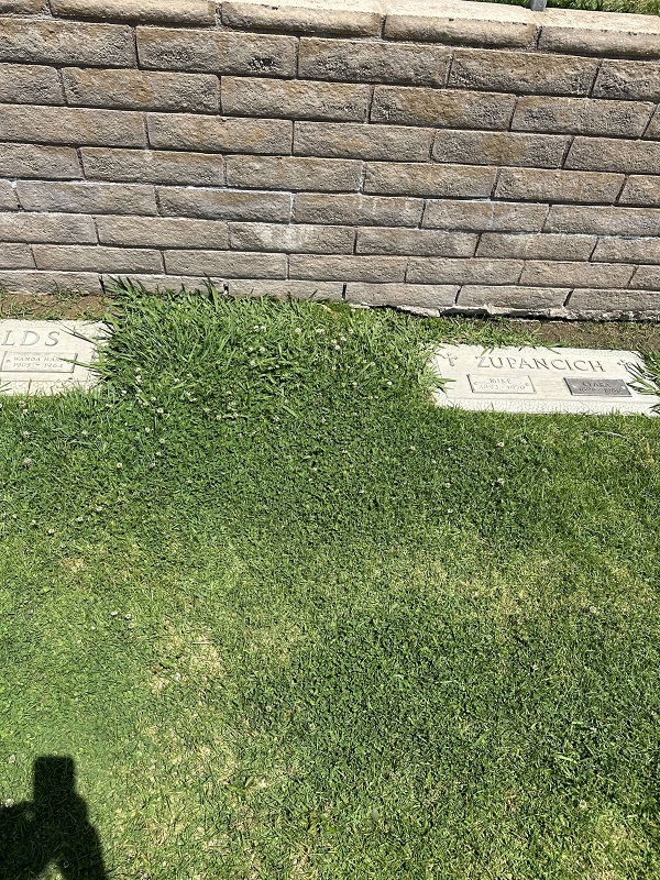 Joseph and Margaret Kazalski Kazmac Grave