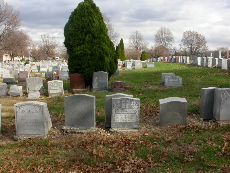 The Evergreens Cemetery Grave of Charles, Frederick and Barbara Nowasky