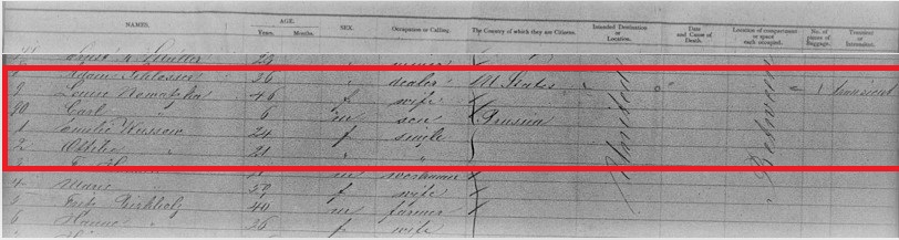 Louise Pubanz Nowasky Immigration