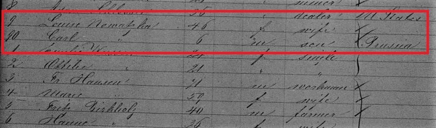 Louise Pubanz Nowasky Immigration